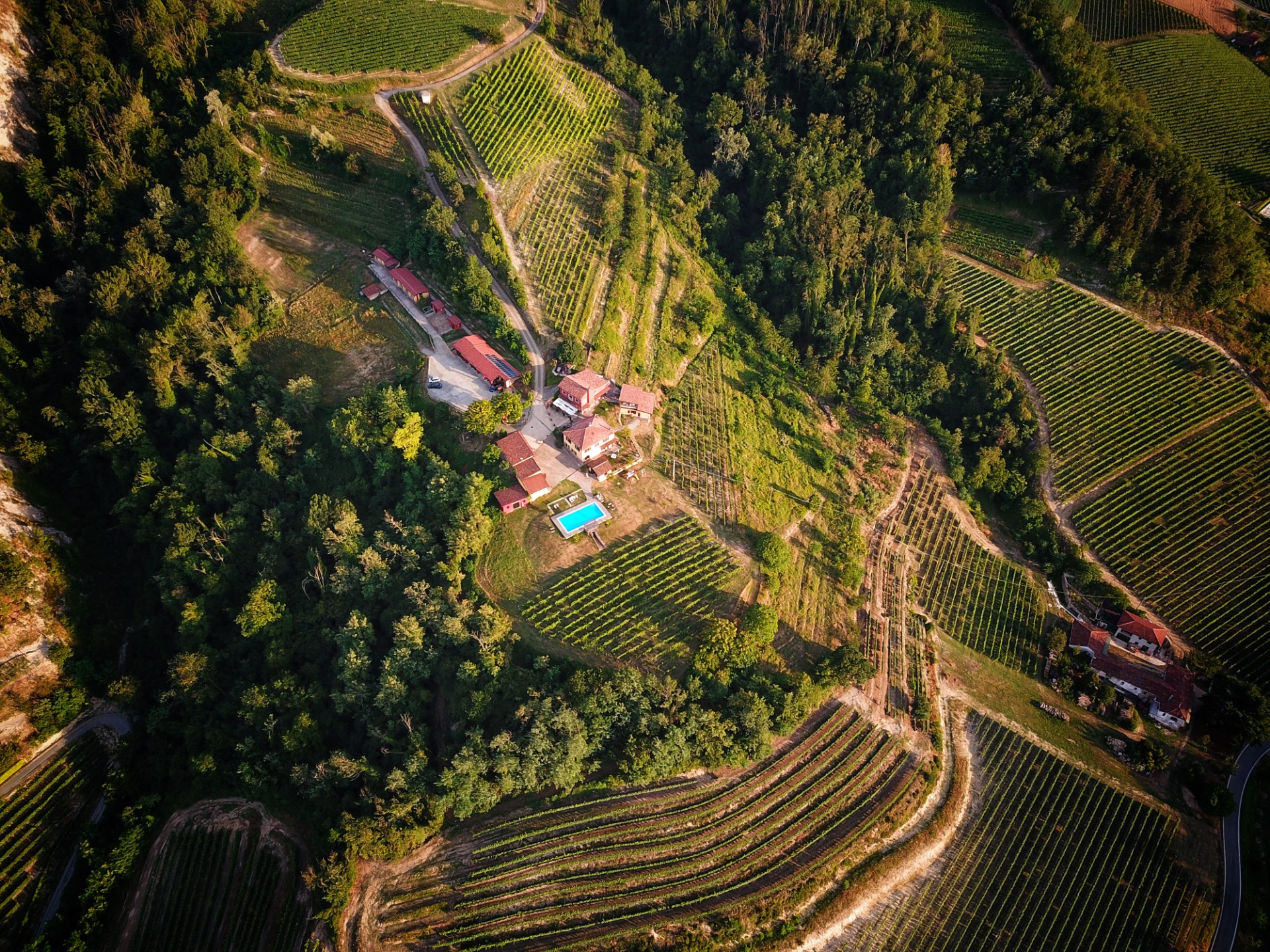 Drone view of Tenuta MonteOliveto in Alta Langa