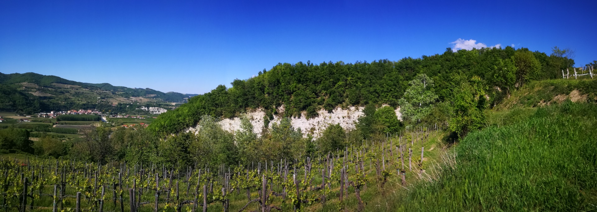 Calanco di MonteOliveto - Un ecosistema intatto nei boschi di Vesime, Alta Langa, Asti