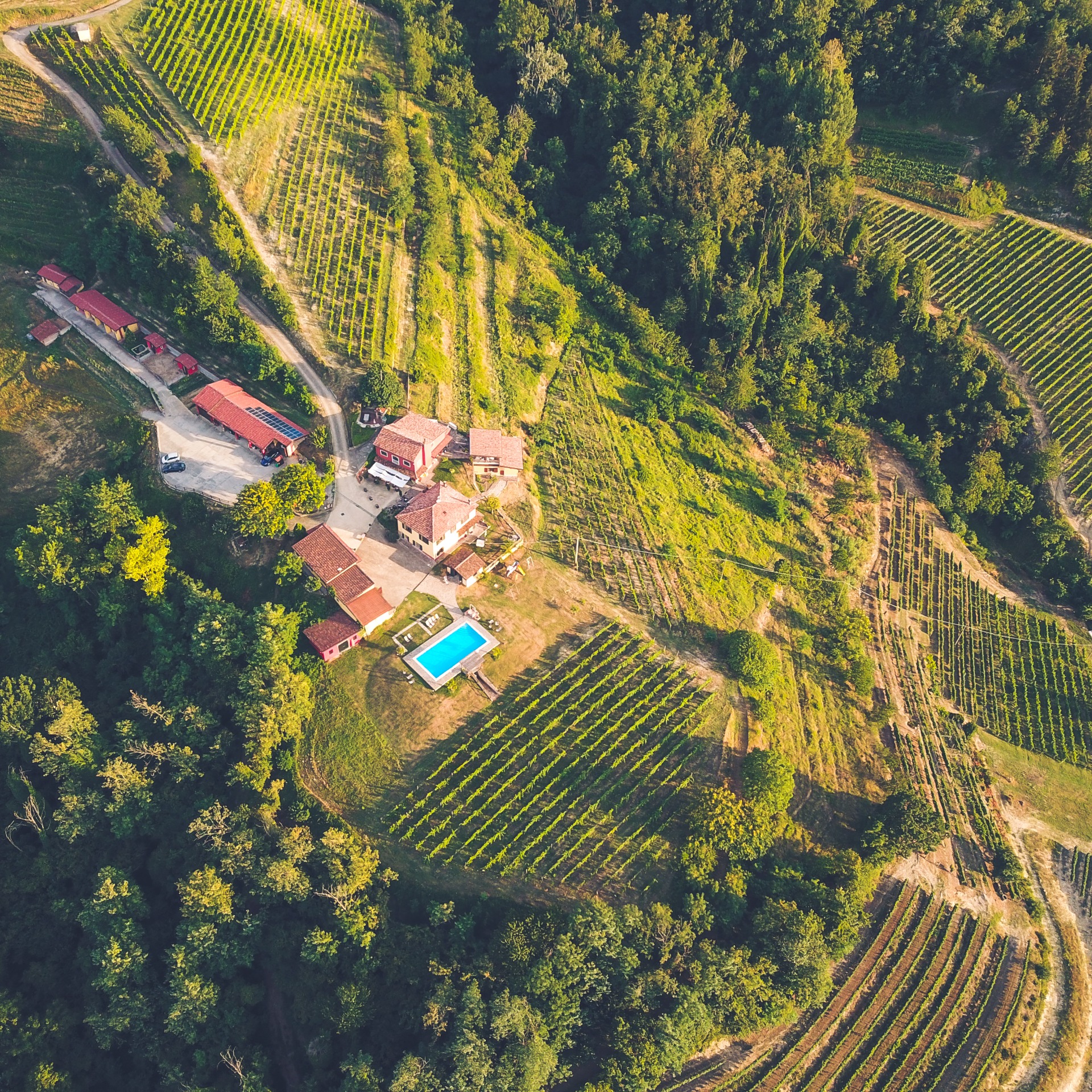 Vista dall'alto della collina e delle vigne di Tenuta MonteOliveto a Vesime, natura e relax in Langa Astigiana, Asti